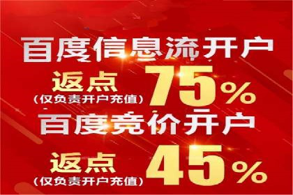 SEM搜索引擎优化策略解析与应用案例